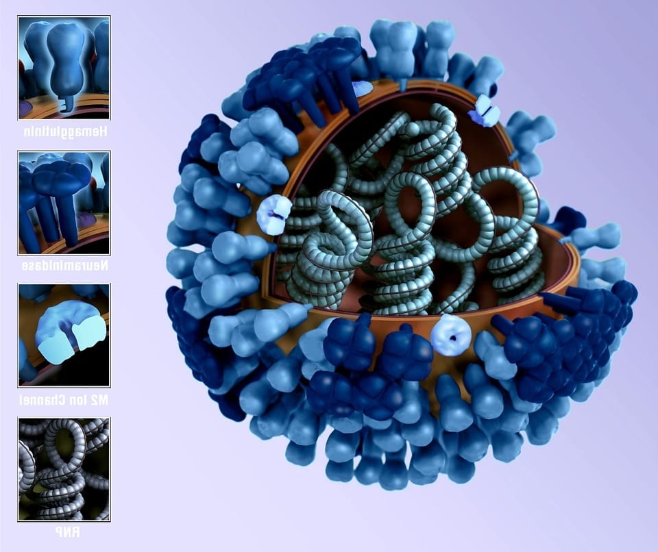  influenza virus, cell, illustration, 3d graphical representation, virus , pixino.com, CC BY 00
